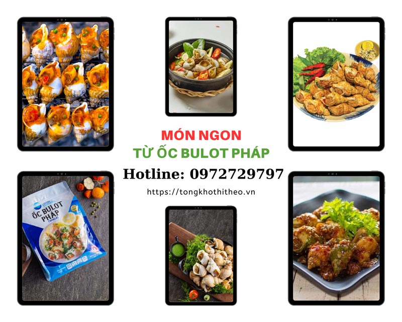 món ăn ngon từ ốc bulot